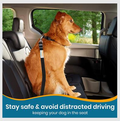 Show full view: PAWBEE Regular Dog Seat Belt, Black, 2 count slide 5 of 8