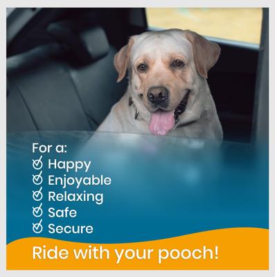 Show full view: PAWBEE Regular Dog Seat Belt, Black, 2 count slide 7 of 8