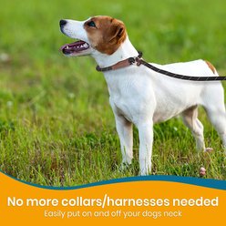 PAWBEE Slip Rope Training Dog Leash, 6-ft long, 1/2-in wide slide 2 of 8