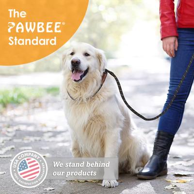 Show full view: PAWBEE Slip Rope Training Dog Leash, 6-ft long, 1/2-in wide slide 4 of 10