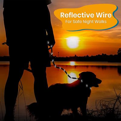 Show full view: PAWBEE Slip Rope Training Dog Leash, 6-ft long, 1/2-in wide slide 6 of 10