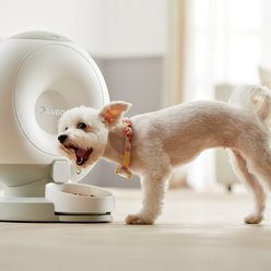 Pawbo Crunchy SmartPhone Controlled Dog & Cat Feeder