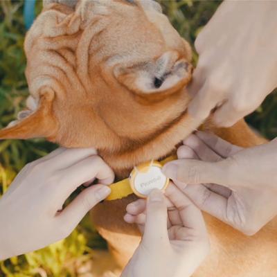 Show full view: Pawbo iPuppy Go Dog & Cat Activity Tracker, Red slide 4 of 5