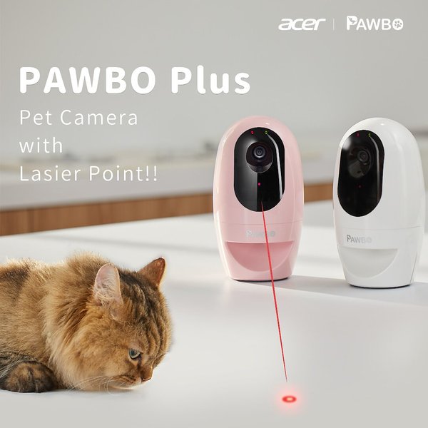 Wi Fi Pawbo Pet Camera Pawbo Best Interactive Pet Camera Wi Wi Fi Pawbo Pet Camera Pawbo Best Interactive Pet Camera Wi