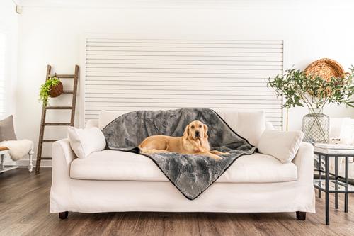 Show full view: PawBrands PupProtector Cool Comfort Waterproof Throw Dog Blanket, Charcoal Grey, Original slide 1 of 2