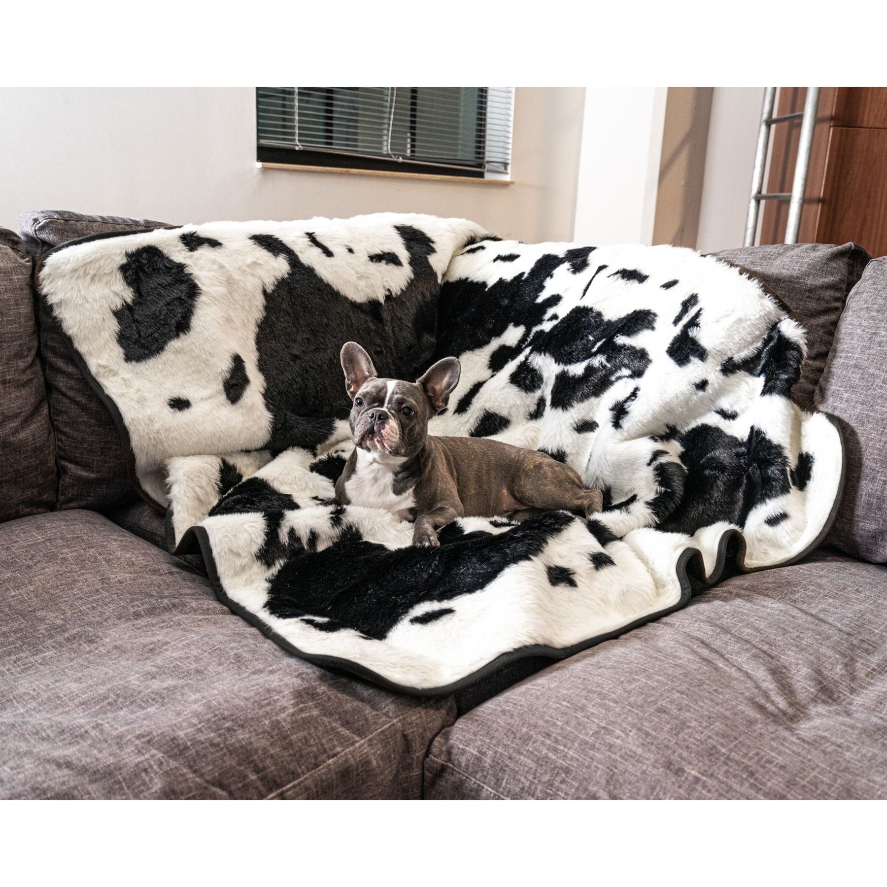 PawBrands PupProtector Premium Faux Fur Waterproof Throw Blanket, Black Faux Cowhide, King