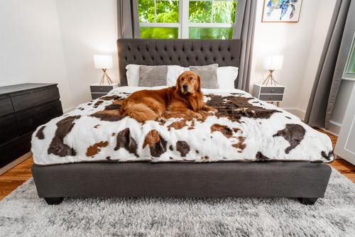 Show full view: PawBrands PupProtector Premium Faux Fur Waterproof Throw Blanket, Brown Faux Cowhide, King slide 1 of 4