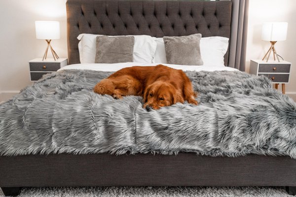 Show full view: PawBrands PupProtector Premium Faux Fur Waterproof Throw Blanket, Charcoal Grey, King slide 1 of 5
