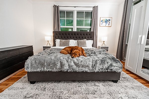 Show full view: PawBrands PupProtector Premium Faux Fur Waterproof Throw Blanket, Charcoal Grey, King slide 4 of 5