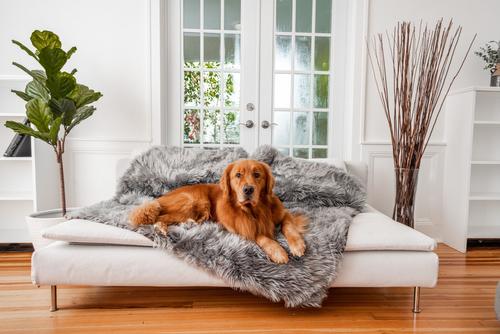 Show full view: PawBrands PupProtector Premium Faux Fur Waterproof Throw Blanket, Charcoal Grey, Original slide 1 of 7