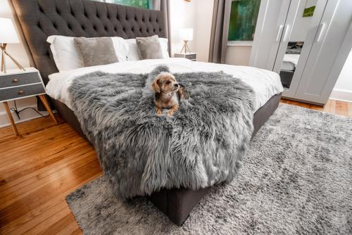 Show full view: PawBrands PupProtector Premium Faux Fur Waterproof Throw Blanket, Charcoal Grey, Original slide 5 of 7