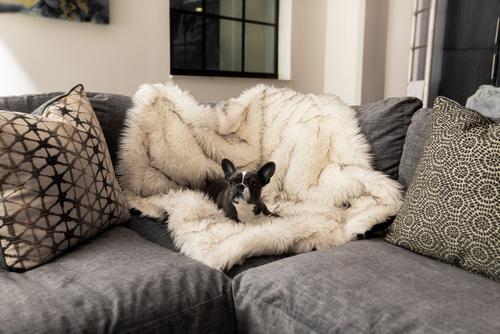 Show full view: PawBrands PupProtector Premium Faux Fur Waterproof Throw Blanket, White, Original slide 1 of 6