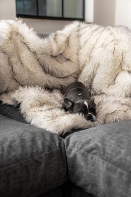 Show full view: PawBrands PupProtector Premium Faux Fur Waterproof Throw Blanket, White, Original slide 5 of 6