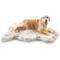 Show in main carousel: PawBrands PupRug Faux Fur Curve Orthopedic Pillow Dog Bed with Removable Cover, White/Brown, Large/X-Large slide 3 of 11