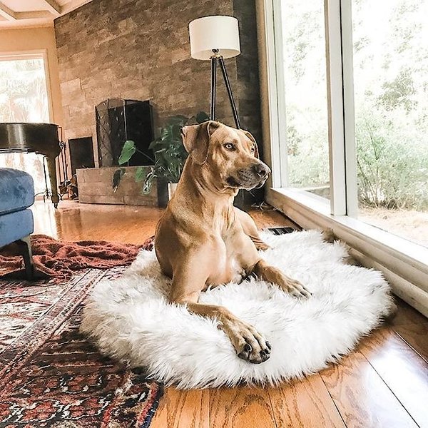 PupRug Runner Faux Fur Memory Foam Orthopedic Dog Bed