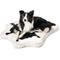 Show in main carousel: PawBrands PupRug Premium Animal Print Human Grade Memory Foam Dog Bed, Black Faux Cowhide, Junior slide 3 of 7