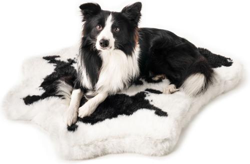 Show full view: PawBrands PupRug Premium Animal Print Human Grade Memory Foam Dog Bed, Black Faux Cowhide, Junior slide 3 of 7