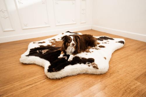 Show full view: PawBrands PupRug Premium Animal Print Human Grade Memory Foam Dog Bed, Brown Faux Cowhide, Junior slide 1 of 7