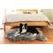 Show in main carousel: PawBrands PupRug Premium Faux Fur Human Grade Orthopedic Memory Foam Dog Bed, Charcoal Grey, Large slide 7 of 7
