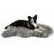 Show in main carousel: PawBrands PupRug Premium Faux Fur Human Grade Orthopedic Memory Foam Dog Bed, Charcoal Grey, Medium slide 2 of 7