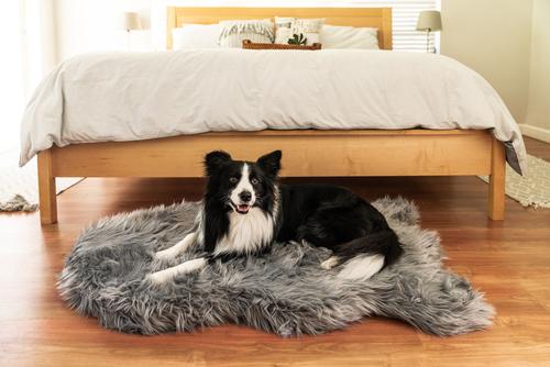 Show full view: PawBrands PupRug Premium Faux Fur Human Grade Orthopedic Memory Foam Dog Bed, Charcoal Grey, Medium slide 7 of 7