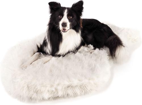 Show full view: PawBrands PupRug Premium Faux Fur Human Grade Orthopedic Memory Foam Dog Bed, Polar White, Giant slide 4 of 7