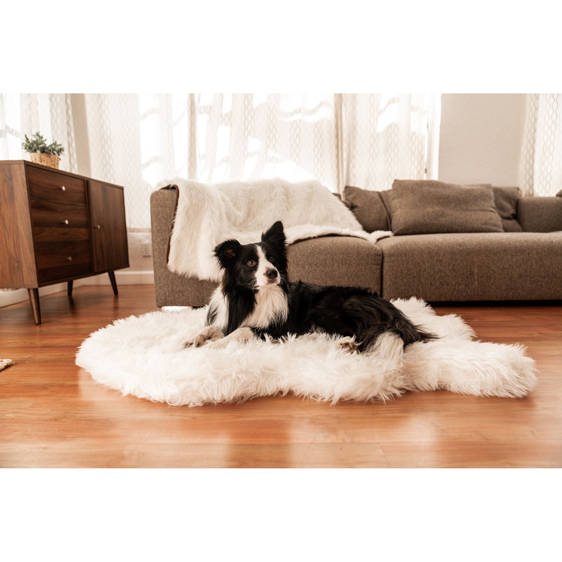 PawBrands PupRug Premium Faux Fur Human Grade Orthopedic Memory Foam Dog Bed, White, Medium