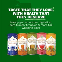 Pawfect Yogurt Melties All Natural Grain-Free Yogurt with Real Blueberry Blue Spirulina Cranberry & Mint Freeze-Dried Dog Prebiotic & Probiotic Training Treats, 1.34-oz canister slide 2 of 8