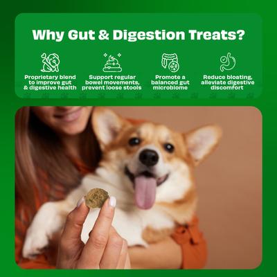 Show full view: Pawfect Yogurt Melties All Natural Grain-Free Yogurt with Real Pumpkin Beetroot Cabbage Fennel Seeds Freeze-Dried Dog Prebiotic & Probiotic Training Treats, 1.34-oz canister slide 6 of 9