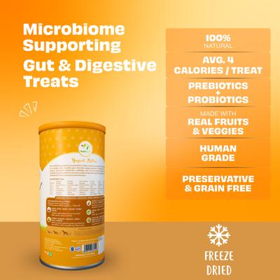 Show full view: Pawfect Yogurt Melties All Natural Grain-Free Yogurt with Real Pumpkin Beetroot Cabbage Fennel Seeds Freeze-Dried Dog Prebiotic & Probiotic Training Treats, 1.34-oz canister slide 3 of 9