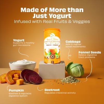 Show full view: Pawfect Yogurt Melties All Natural Grain-Free Yogurt with Real Pumpkin Beetroot Cabbage Fennel Seeds Freeze-Dried Dog Prebiotic & Probiotic Training Treats, 1.34-oz canister slide 4 of 9
