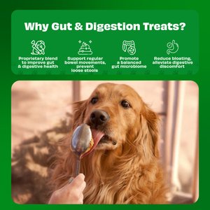 Pawfect All Natural Peanut Butter with Banana & Flaxseeds Grain-Free Food Topper & Lickable Dog Treat, 9.7-oz jar