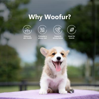 Show full view: Pawfect Woofur Gourmet Chicken Air-Dried All Natural Grain-Free Jerky Dog Training Treat, 1.76-oz bag slide 6 of 10