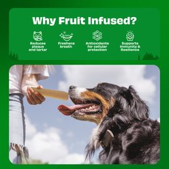 Pawfect Himalayan Cheese Chews Large All Natural High-Protein Grain-Free with Apple Coconut & Mango Dental Dog Treats, 3 count slide 2 of 8