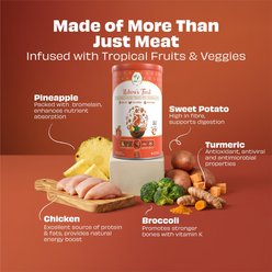 Pawfect Nature's Feast All Natural Grain-Free Chicken with Tropical Fruits & Vegetables Freeze-Dried Dog Training Treats, 1.76-oz canister slide 2 of 8