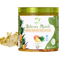 Pawfect Nature's Munch All Natural Grain-Free Real Pineapple Freeze-Dried Single Ingredient Dog Training Treats, 1.41-oz bag