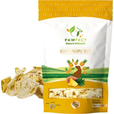Pawfect Pawfect Nature's Munch Freeze-Dried Pineapple All Natural Vegan Dog Training Treat, 1.41-oz bag