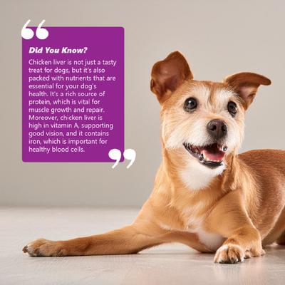 Show full view: Pawfect Nature's Kitchen Freeze-Dried Food-Chicken Recipe Dog Treat slide 8 of 11