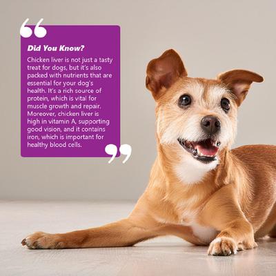 Show full view: Pawfect Nature's Kitchen Freeze-Dried Food-Chicken Recipe Dog Treat slide 5 of 9