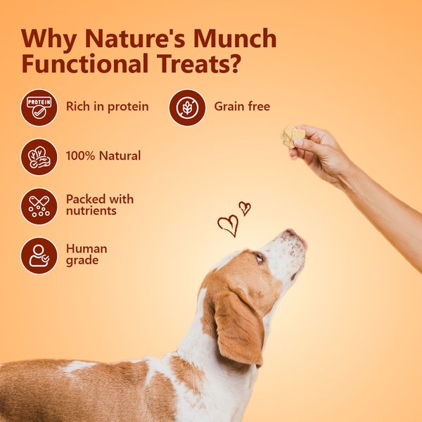 Pawfect Nature's Munch Freeze-Dried Functional Daily Chomp for Training Dog Treat, 2.65-oz canister