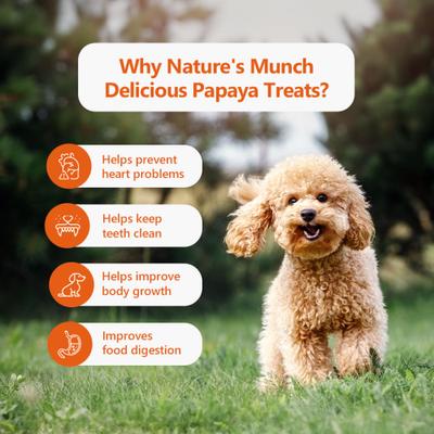 Show full view: Pawfect Nature's Munch Freeze-Dried Papaya All Natural Vegan Dog Training Treat, 1.41-oz bag slide 6 of 8
