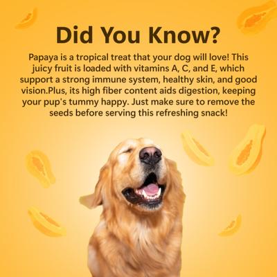 Show full view: Pawfect Nature's Munch Freeze-Dried Papaya All Natural Vegan Dog Training Treat, 1.41-oz bag slide 7 of 8