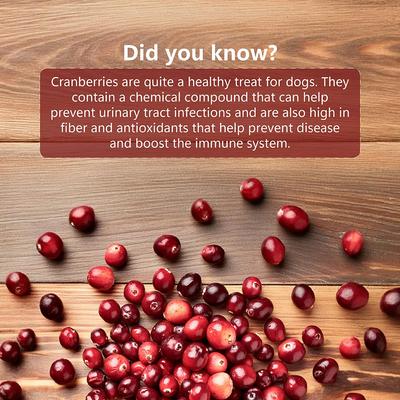 Show full view: Pawfect All Natural Peanut Butter with Cranberry & Cinnamon Grain-Free Food Topper & Lickable Dog Treat, 3.53-oz jar slide 6 of 11