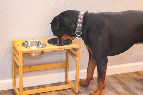 Show full view: Pawfect Pets Adjustable Height Elevated Raised Dog Bowl Stand with four Stainless Steel Bowls, Large slide 7 of 8