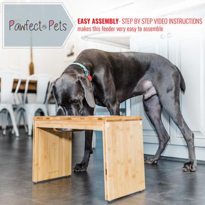 Show full view: Pawfect Pets Elevated Feeder Raised Dog Bowl Stand with four Stainless Steel Bowls, Large, 12-in slide 2 of 7