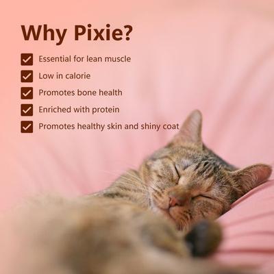 Show full view: Pawfect Pixie Air-Dried Chicken Cat Treat, 50-gram bag slide 6 of 9