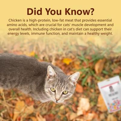 Show full view: Pawfect Pixie Air-Dried Chicken Cat Treat, 50-gram bag slide 7 of 9
