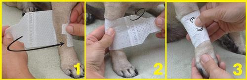 Show full view: PawFlex Basic Disposable Dog Bandage, 4 count, Medium slide 6 of 12