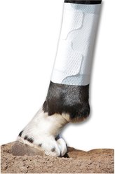PawFlex Equine BandaFlex Disposable Horse Bandage, 20 count, Large
