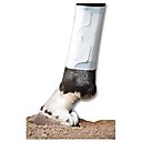 PawFlex Equine BandaFlex Disposable Horse Bandage, 20 count, Large